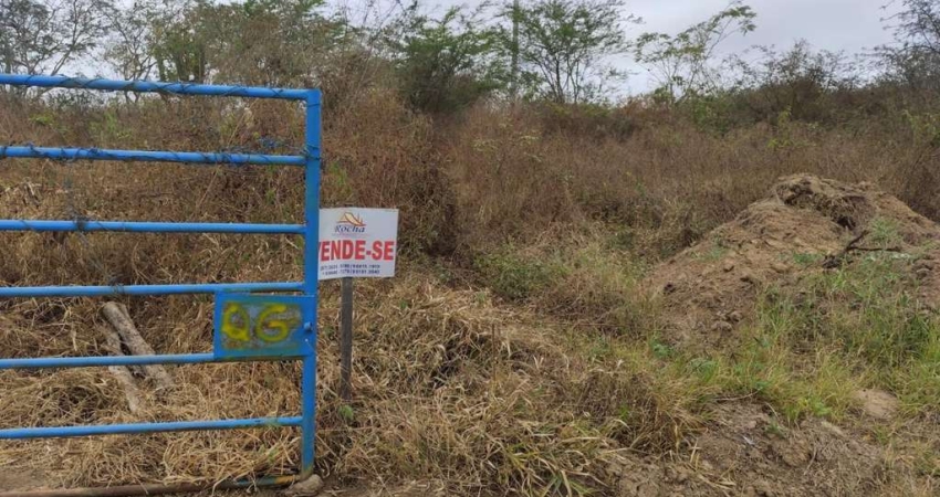 Terreno à venda na As marges da BR 232, Centenário, Pesqueira