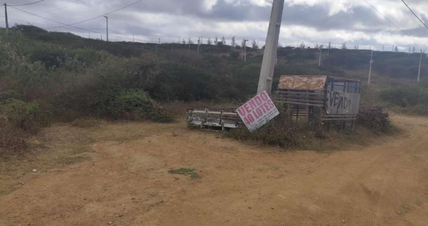 Terreno à venda na Loteamento Miguel lins de Freitas, Prado, Pesqueira
