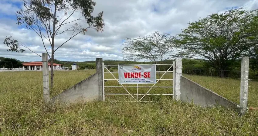 Terreno à venda na Rua Projetada, s/n, Centenário, Pesqueira