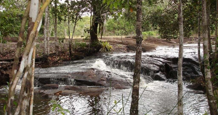 Fazenda com 685 mil m² à venda no litoral proximo de Sauipe com Mata Preservada - Entre Rios - BA