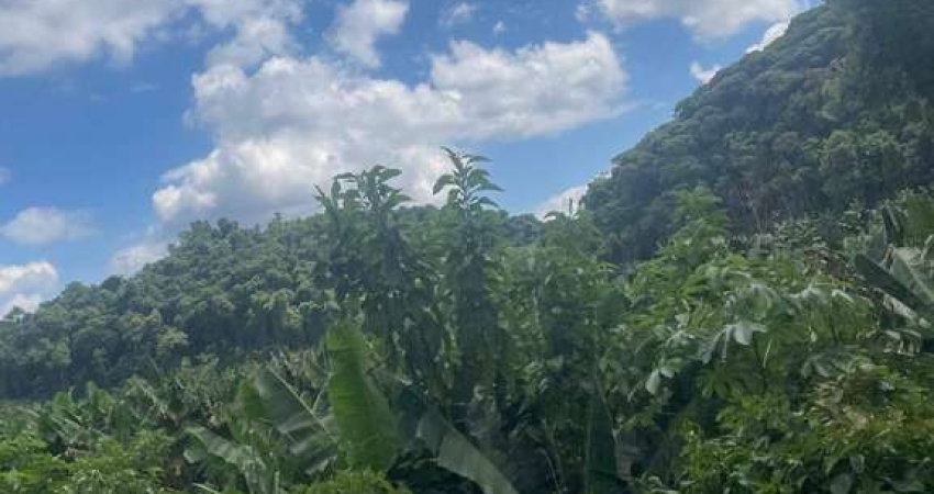 OPORTUNIDADE ÁREA PARA RESERVA LEGAL COM VEGETAÇÃO NATIVA