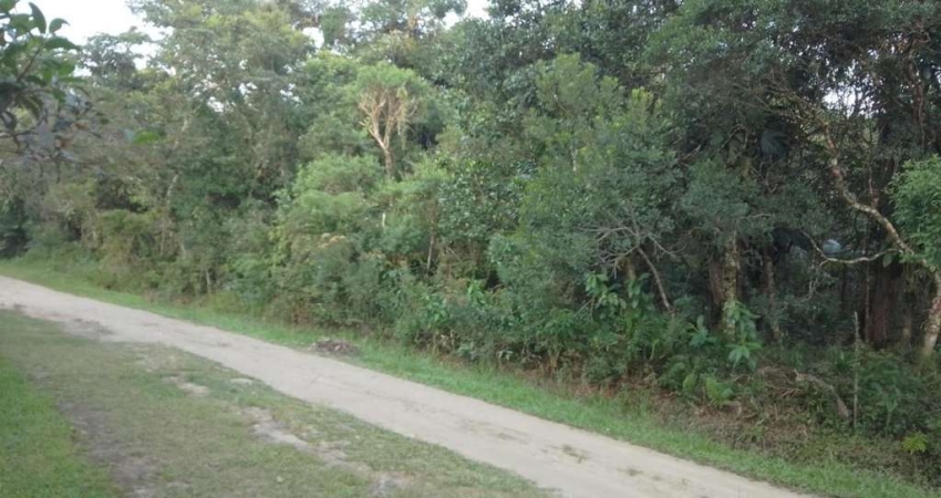 Terreno à venda na Rua Antonio Bento da Silva (antiga rua 1), Guaraú, Peruíbe