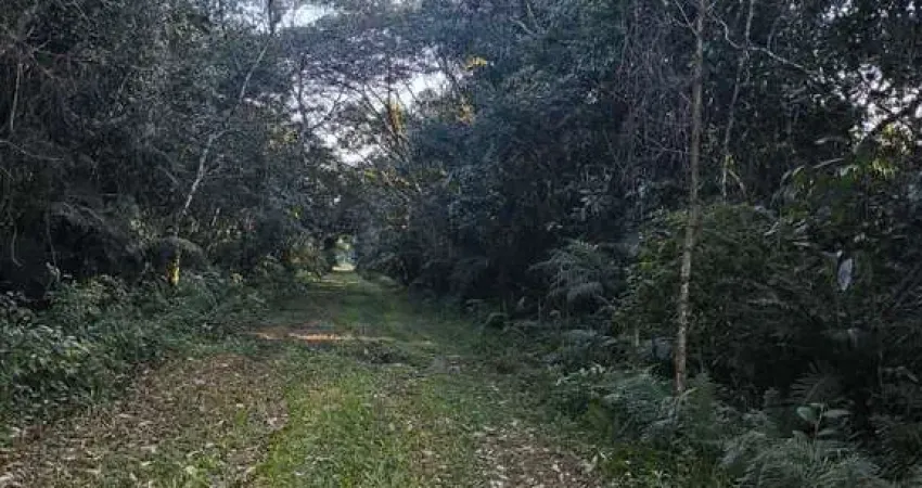 Terreno à venda na Rua Dr. Dalmar Americano da Costa ( antiga rua 09), Guaraú, Peruíbe