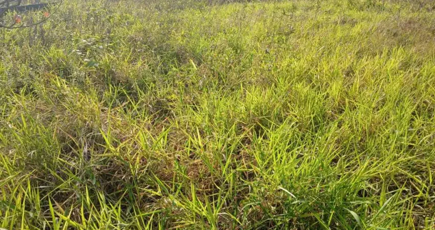 Terreno à venda no Cibratel II, Itanhaém 