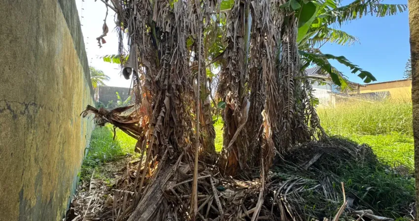Terreno Murado e Aterrado a 50m do Mar no Maria Helena Novaes em Peruíbe – Escritura e Liberação Ambiental OK