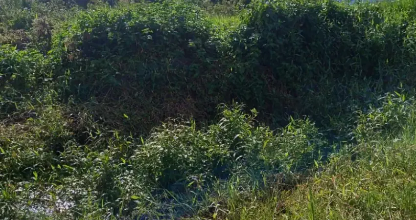 Terreno à venda na Av Padre Anchieta, 6840, jardim Somar, Peruíbe