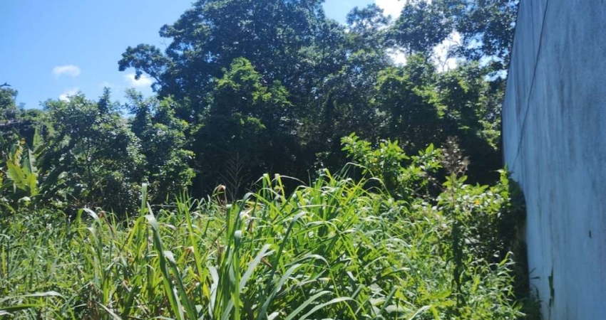 Terreno à venda no Jardim Suarão, Itanhaém 