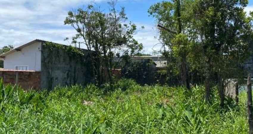Terreno à venda na Av. Padre Anchieta, 6840, Vila Peruibe, Peruíbe