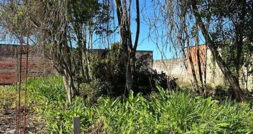 Terreno à venda em Luíza Mar Mirim, Itanhaém 