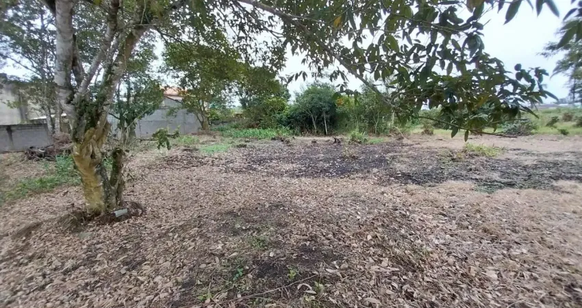 Terreno localizado lado serra a 250 metros da rodovia em rua asfaltada