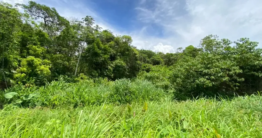 Terreno localizado lado serra a 150 metros da rodovia com total de 287,70 m²