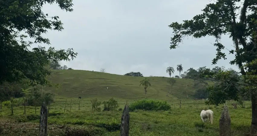 Chácara localizada lado serra 12000 metros da rodovia com 240mil metros quadrados