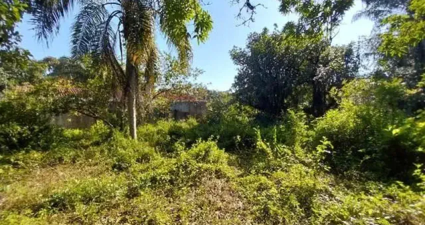 Terreno localizado em Peruíbe, lado serra, com escritura, medindo 1039 m² de área total