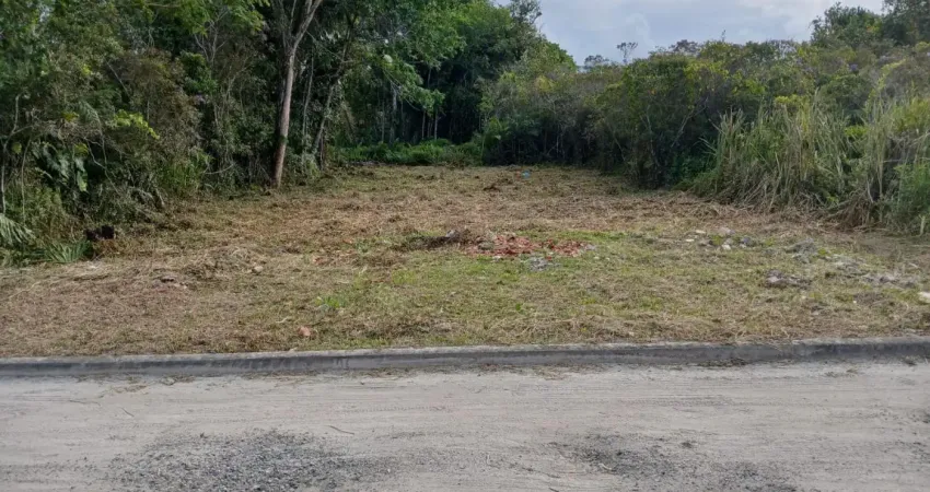 Terreno localizado lado serra, a 400 metros da rodovia, com escritura, liberação ambiental e laudo de topografia - analisa automóvel e entrada + parcelas