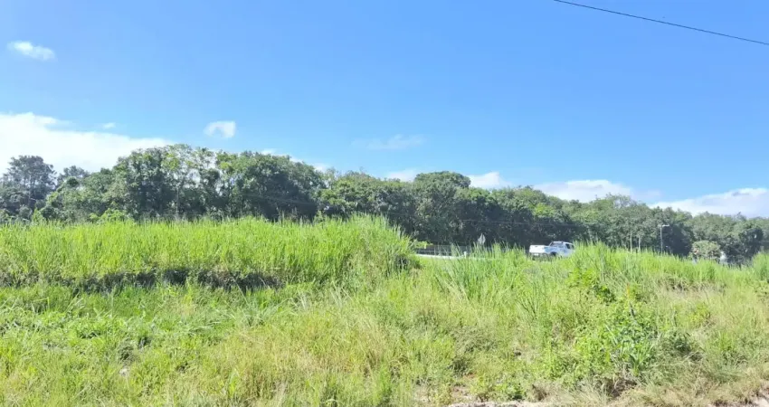 Terreno localizado lado praia, a 1,5 km do mar, em rua de terra, com escritura