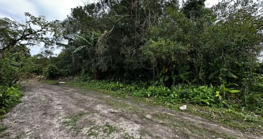 Terreno de chácara localizado lado serra em Itanhaém, a 2 km da rodovia, com 1.107 m² de área total – Escritura.