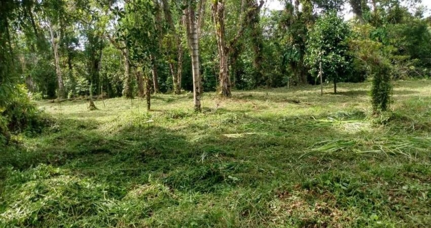 Terreno à venda no Parque Vergara, Itanhaém 