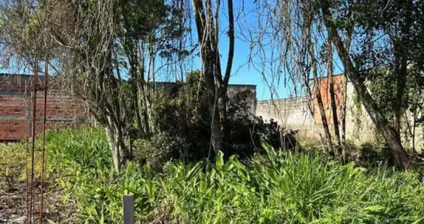 Terreno à venda na Praça Ângelo Guerra, 075, Luíza Mar Mirim, Itanhaém