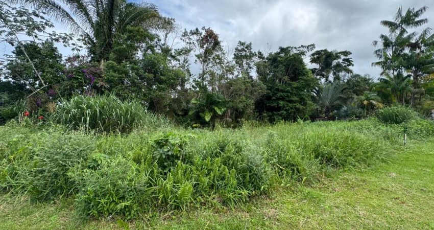 Terreno à venda no Jardim São Luis, Peruíbe 