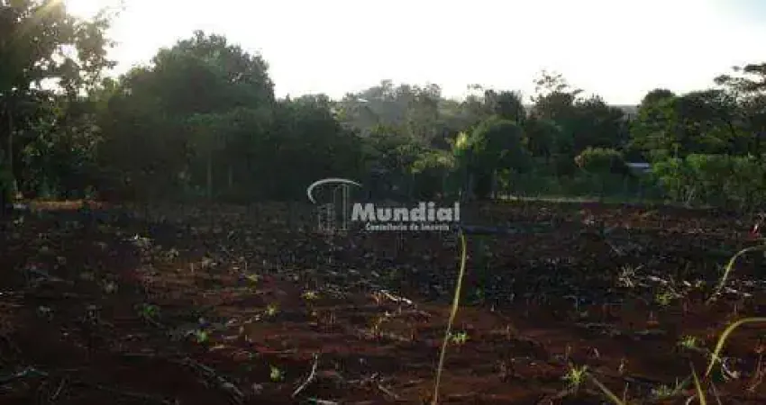 Chácara / sítio com 4 quartos à venda na Vicinal Vereador Giovani Costa, 3, Zona Rural, Laranjal Paulista
