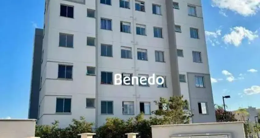 Apartamento com 2 dormitórios à venda, 45 m² por R$ 384.000,00 - Vila Monte Alegre I - Paulínia/SP