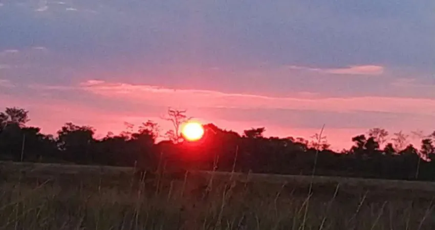 Fazenda à venda na Zona Rural, Ituberá 