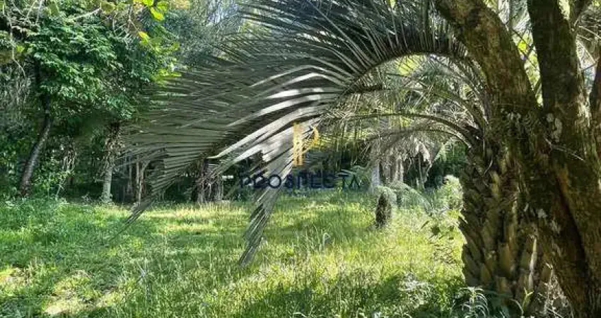 Chácara / sítio com 1 quarto à venda na Vila Seca, Caxias do Sul 