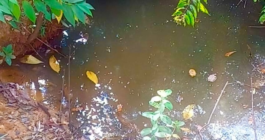 Área 20.000m2, com nascente e córrego. Mata ciliar. Pirenópolis-Go