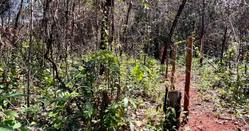 Vendo áreas de 1.000m2, plana com cerrado nativo. Lindo lugar! Pode escriturar! 6km de Pirenópolis/Go.