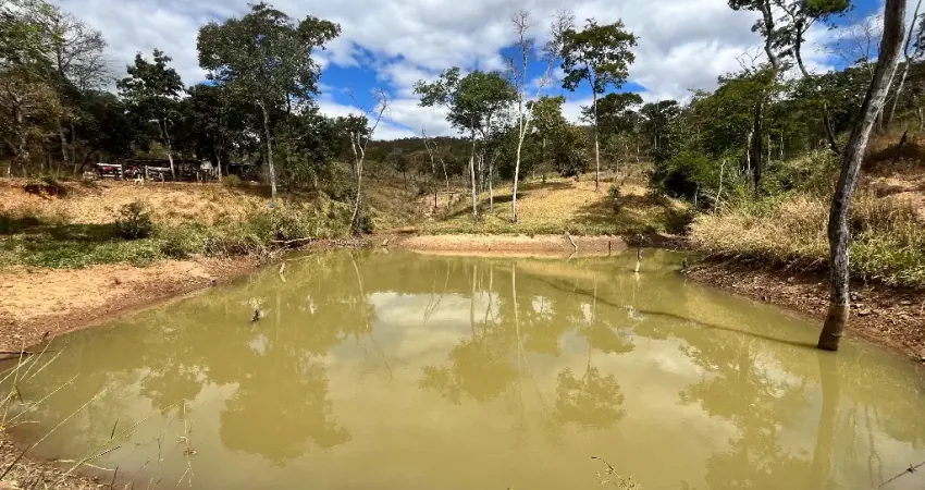 Fazenda 6,5 alqueires goiano, com represa, nascente, capim braquiara, barracão, toda cercada! Pirenópolis-Go