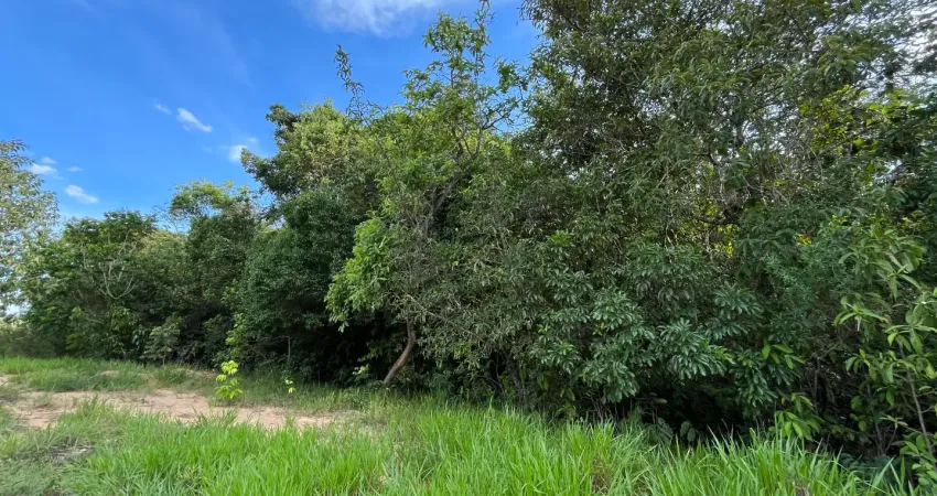 Área 20.000m2, córrego cristalino, próximo pirenópolis e asfalto