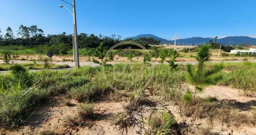 LOTE URBANO - NOVA GOVERNADOR - L 13, Q 57 - AREIAS DE BAIXO