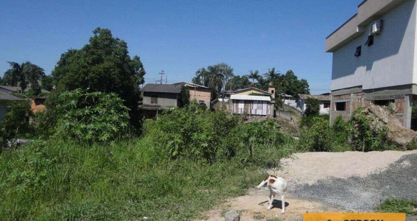 Terreno à venda na Rua Ferdinando Martignago, Santo Antônio, Criciúma