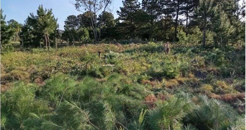Terreno comercial à venda na ARROIO DO SAL, 000, Balneário Pinus Park, Arroio do Sal