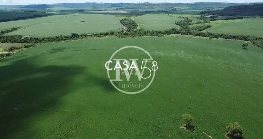 Fazenda à venda em Ouroana - GO | 51 alqueires produtivos próximo a Rio Verde
