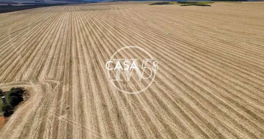 Mega Fazenda de Cana à Venda em São Paulo –5.000 Alqueires Altamente Produtivos
