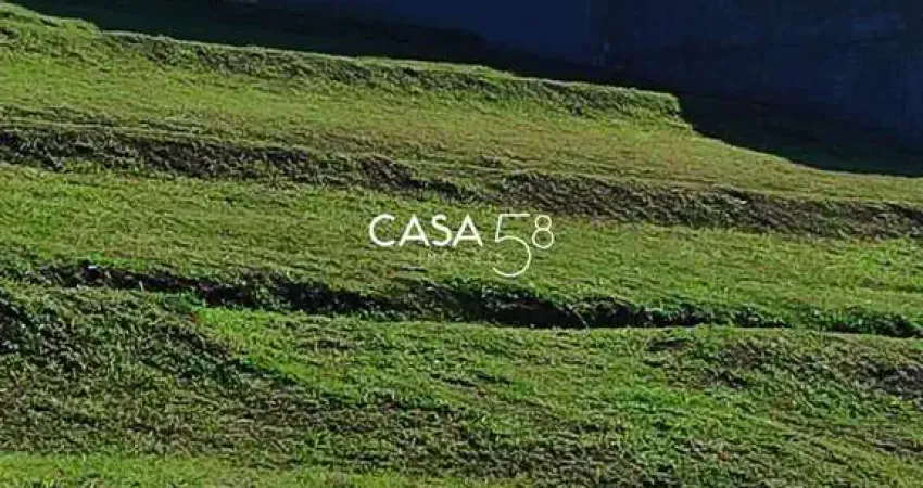 Terreno à venda na Avenida das Flores, Jardins Capri, Senador Canedo