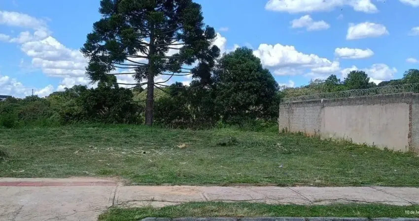 Terrenos 12x38 oportunidade para construtores – bairro dos estados, fazenda rio grande!