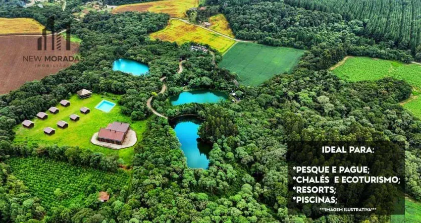 Chácara à venda, 88.438 m² - Bairro Bom Jesus - Rio Negro/PR