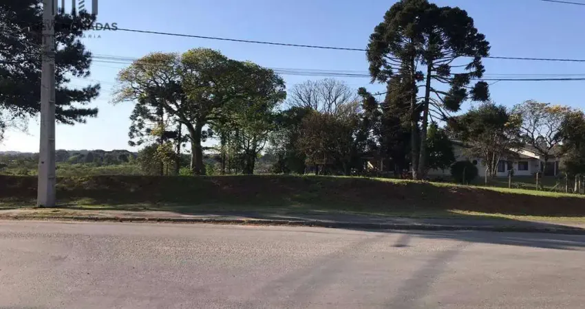 Terreno à venda, 1400 m² por R$ 1.550.000 - Veneza - Fazenda Rio Grande/PR