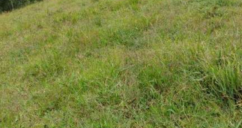 Chácara com 2 dormitórios à venda, 60000 m² por R$ 600.000 - Zoneamento e Uso do Solo Urbano - Lapa/PR