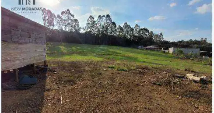 Chácara com 2 dormitórios à venda, 10000 m² por R$ 350.000 - Zona Rural - Tijucas do Sul/PR
