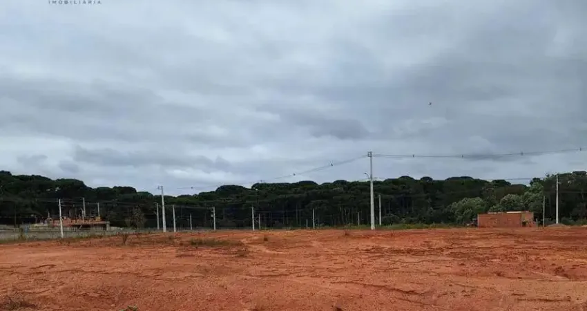 Terreno à venda, 120 m² por R$ 140.000,00 - Estados - Fazenda Rio Grande/PR