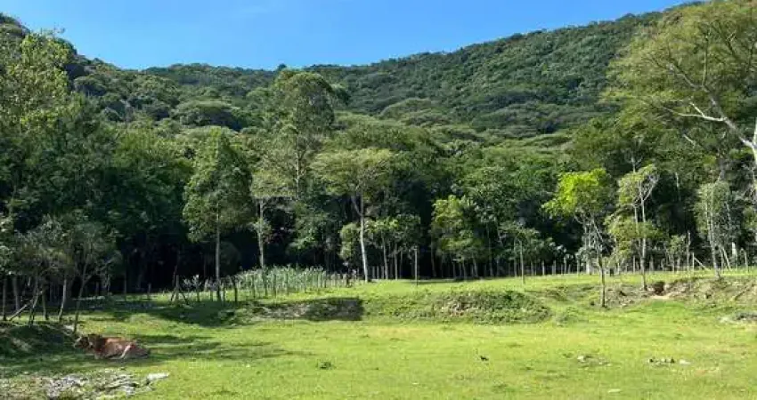 Fazenda à venda na Rua Manoel Antônio Cândido, 1, Enseada de Brito, Palhoça