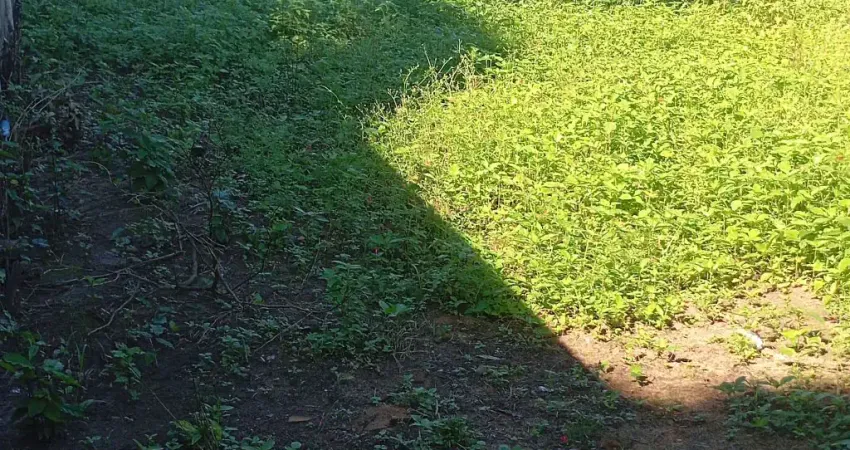Terreno à venda na Rua Romualdo Silveira, Vila Cajueiro, Cariacica