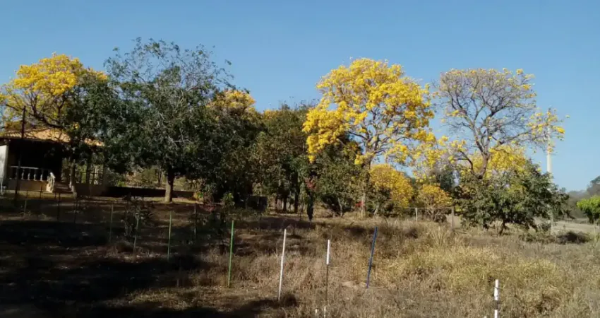 Chácara à Venda Próximo a Lagoa da Prata – Fazenda Jacaré