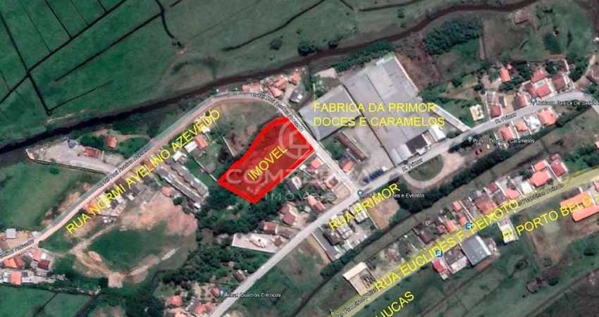 Terreno comercial à venda na Normi Avelino Azevedo, Santa Luzia, Tijucas
