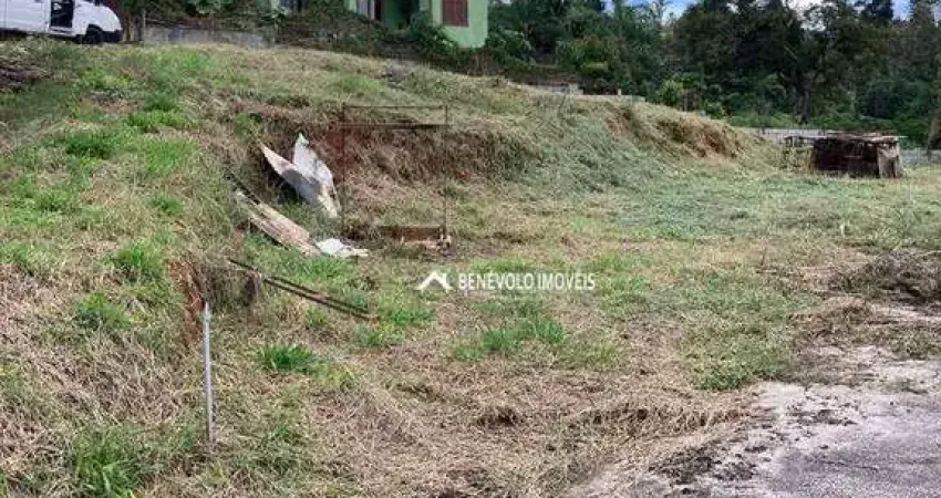 Terreno à venda, 927 m² por R$ 600.000 - Vila Santo Antônio - Cotia/SP