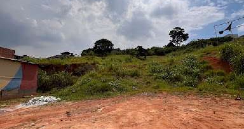 Terreno à venda, 11500 m² por R$ 11.000.000,00 -  Alphaville - Santana de Parnaíba/SP