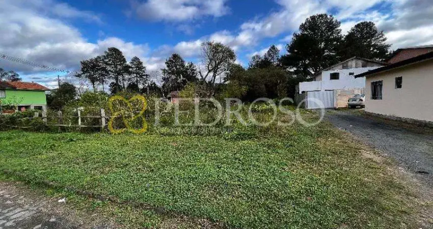 Terreno comercial à venda na Rua Clotário Portugal, s/n, Navegantes, União da Vitória